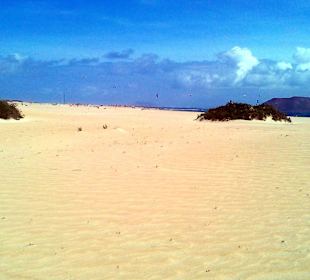 Parque Natural de las Dunas de Corralejo