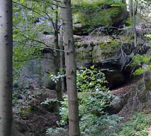 Pfälzerwald Tour in Waldfischbach-Burgalben