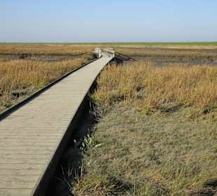 Auf dem Bohlenweg im Langwarder Groden