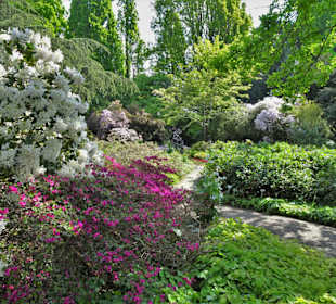 Eindrücke vom Rundgang durch den Berggarten