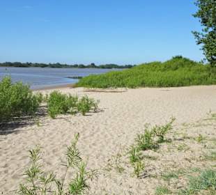 Eindrücke vom Strand am Rissener Ufer