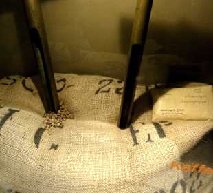 Kaffeeprüfer in einem Kaffeesack