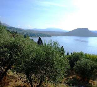 Olivenhaine und Bucht von Garda