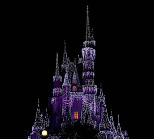 Cinderella Castle bei Nacht