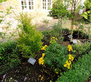 Impressionen aus dem Bibelgarten