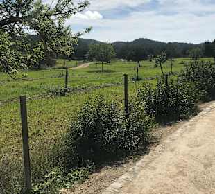 Wunderschöne Landschaft für Laufen und Spaziergänge
