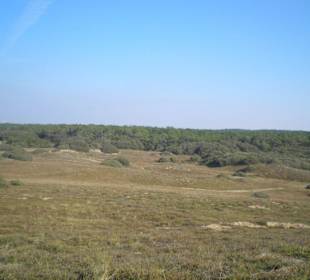 Dünen und Hinterland