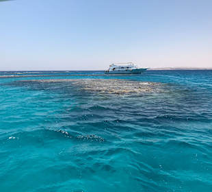 Schnorcheln Makadi Bay