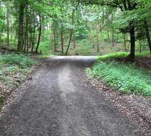 Wanderweg - Alter Steinbruch Pfaffenberg Runde