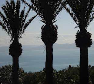 Sidi Bou Said