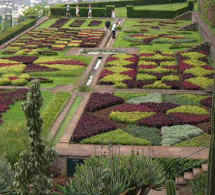 Botanischer Garten