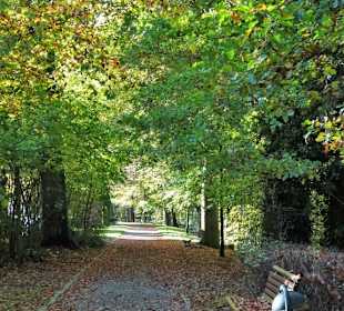 Herbststimmung am Stadtwall Wildeshausen