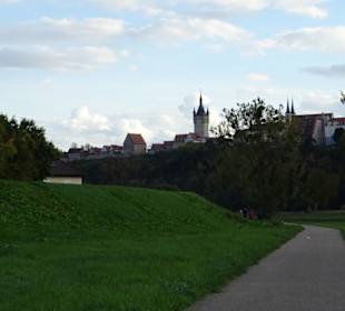 Uferpromenade Offenau - Blickrichtung Bad Wimpfen