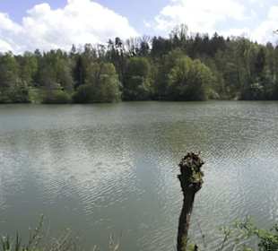 Wanderweg Hochgehwachsen
