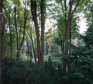 Zentrum Warszawa/Warschau