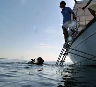 Ende eines Tauchgangs