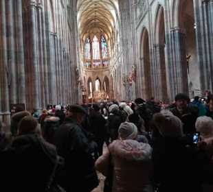 Stadtrundfahrt in Prag