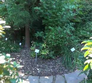 Botanischer Garten