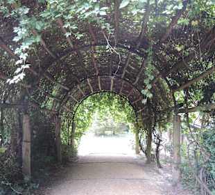 Pfaueninsel-Impression