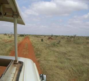 Tsavo Ost