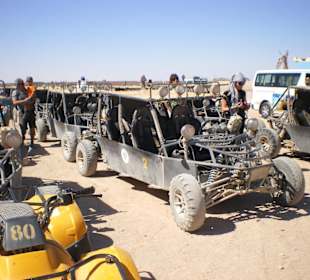 Quat und dann Cart - ab 16 Jahren jeder fahren