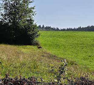 Ausblick