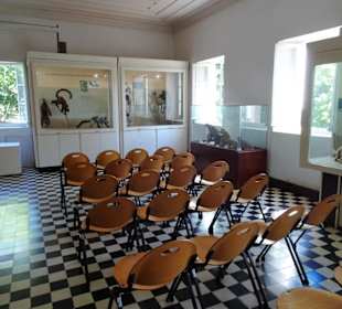 Vortragsraum des Museums