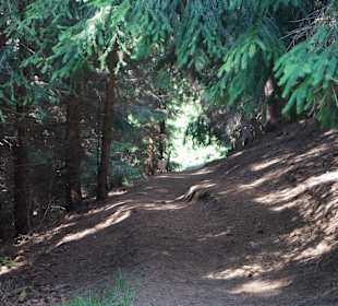 Wandern Oberwiesenthal