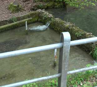 Lichtenstein, Reißenbachquelle