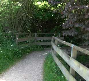 Wanderung Klosterquelle Klosterreichenbach