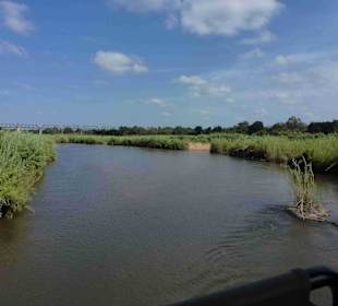 Krüger Nationalpark