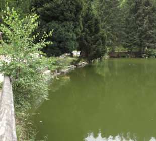 Restaurant & Café Bergseestüble