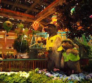 Botanical Garden im Bellagio