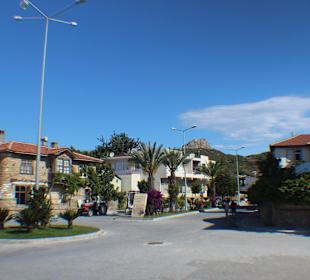 Durch den Ort gelaufen & viel gelernt, Pflanzen 