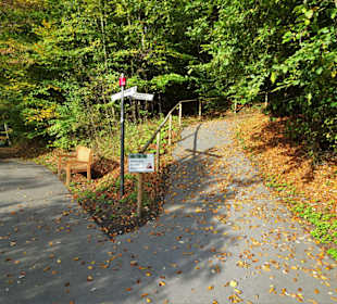 Rundgang durch den Kurpark Bad Iburg