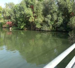 Wanderung zur Burgruine Liebenau