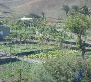 Blick auf das fruchtbare Tal