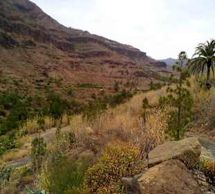 Fataga Tal in Fataga