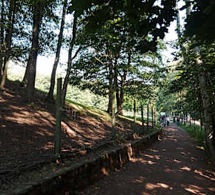 Wildpark Osterzgebirge