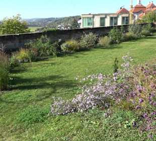 Klostergarten - Garten der Pilger Oberelchingen