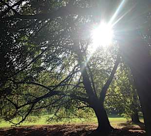 Nahegelegener Farwick-Park