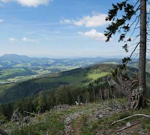 Wandern Heilbrunn