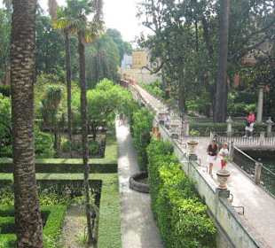 Jardín de Alcázar de Sevilla