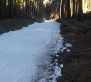 Rodelbahn (Schneekanone) 