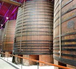 Fasslager in der Caves Byrrh