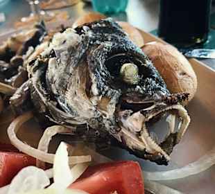 Gegrillter Fisch (März 2017)