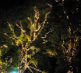 Am Rathaus leuchten das ganze Jahr