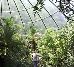 Botanischer Garten der Universität Zürich