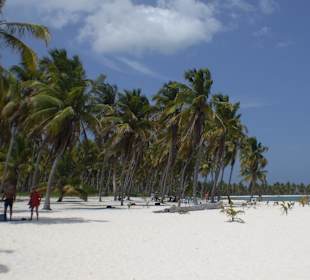 Saona