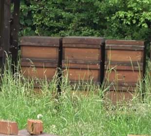 Naturinfopfad Weggental